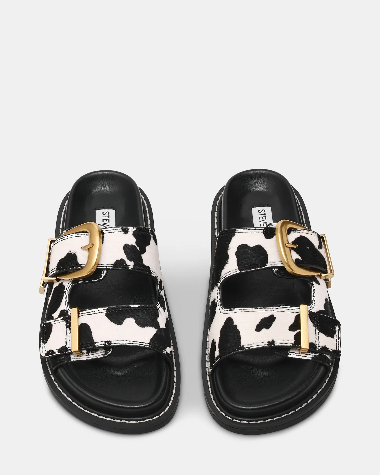 ARCH-C COW - Image 3