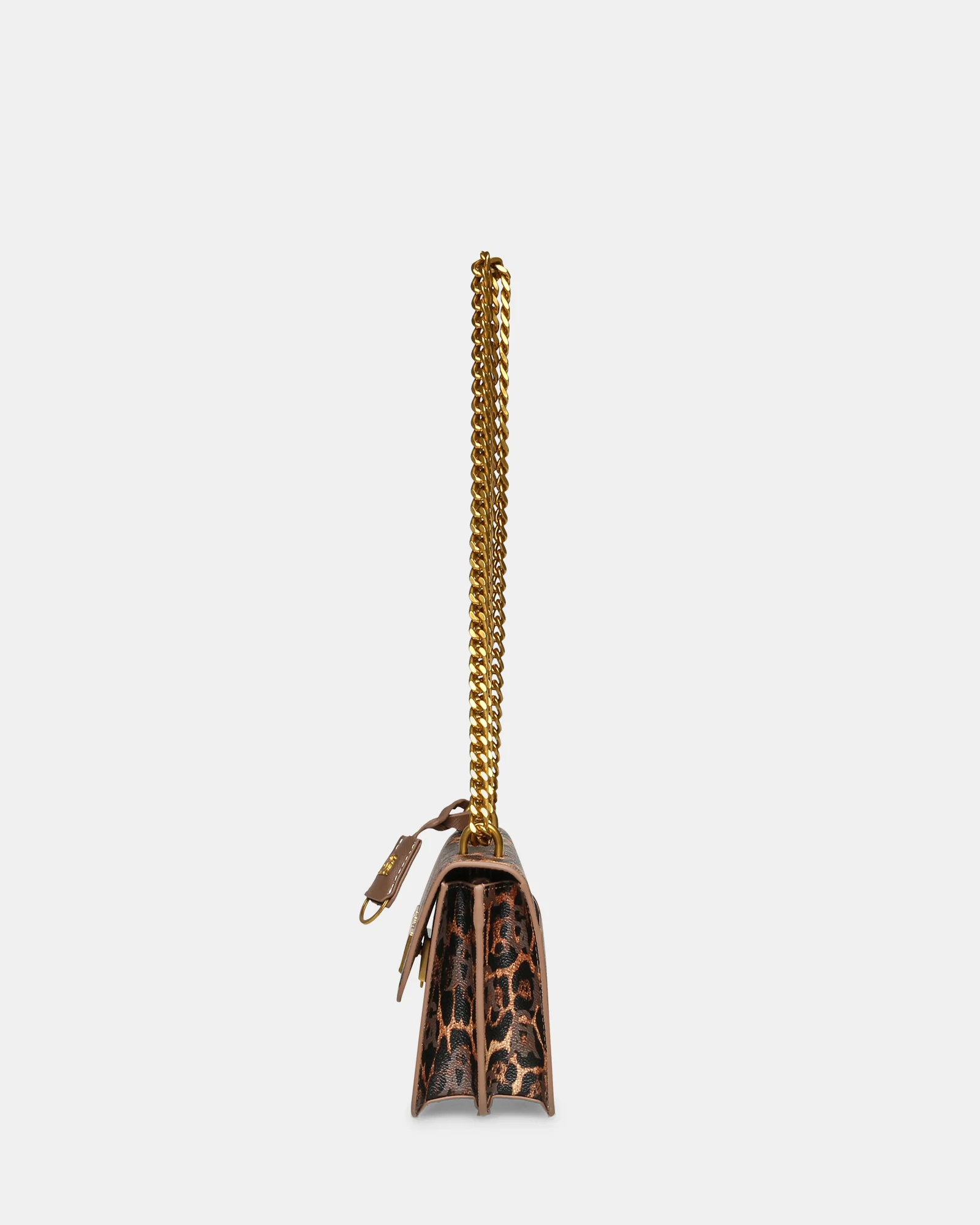 BCOAL-L LEOPARD - Image 3