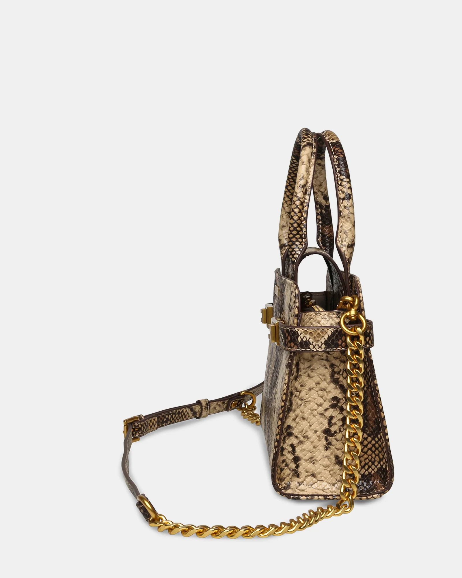 BLINDENY SNAKE - Image 3