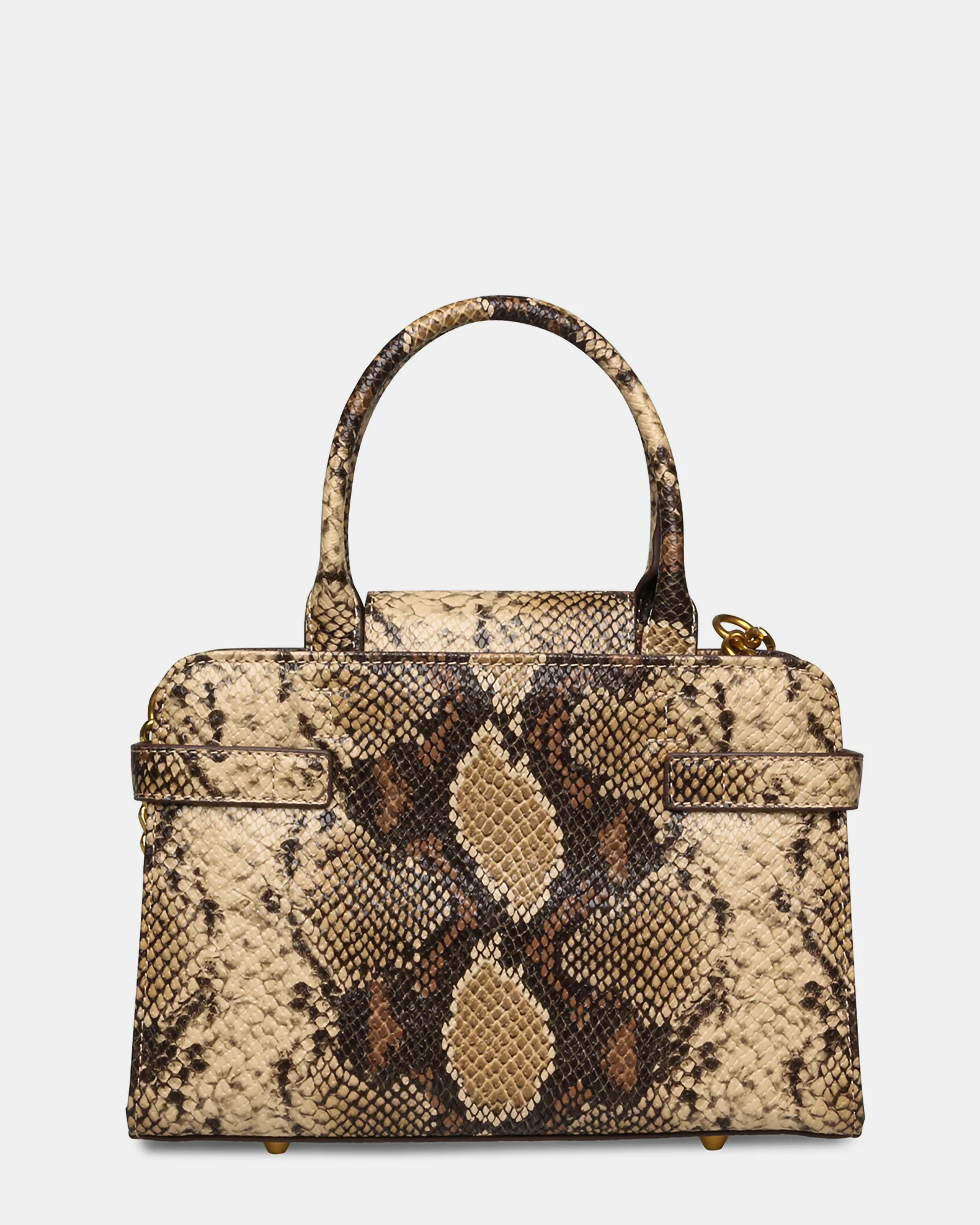 BLINDENY SNAKE - Image 4