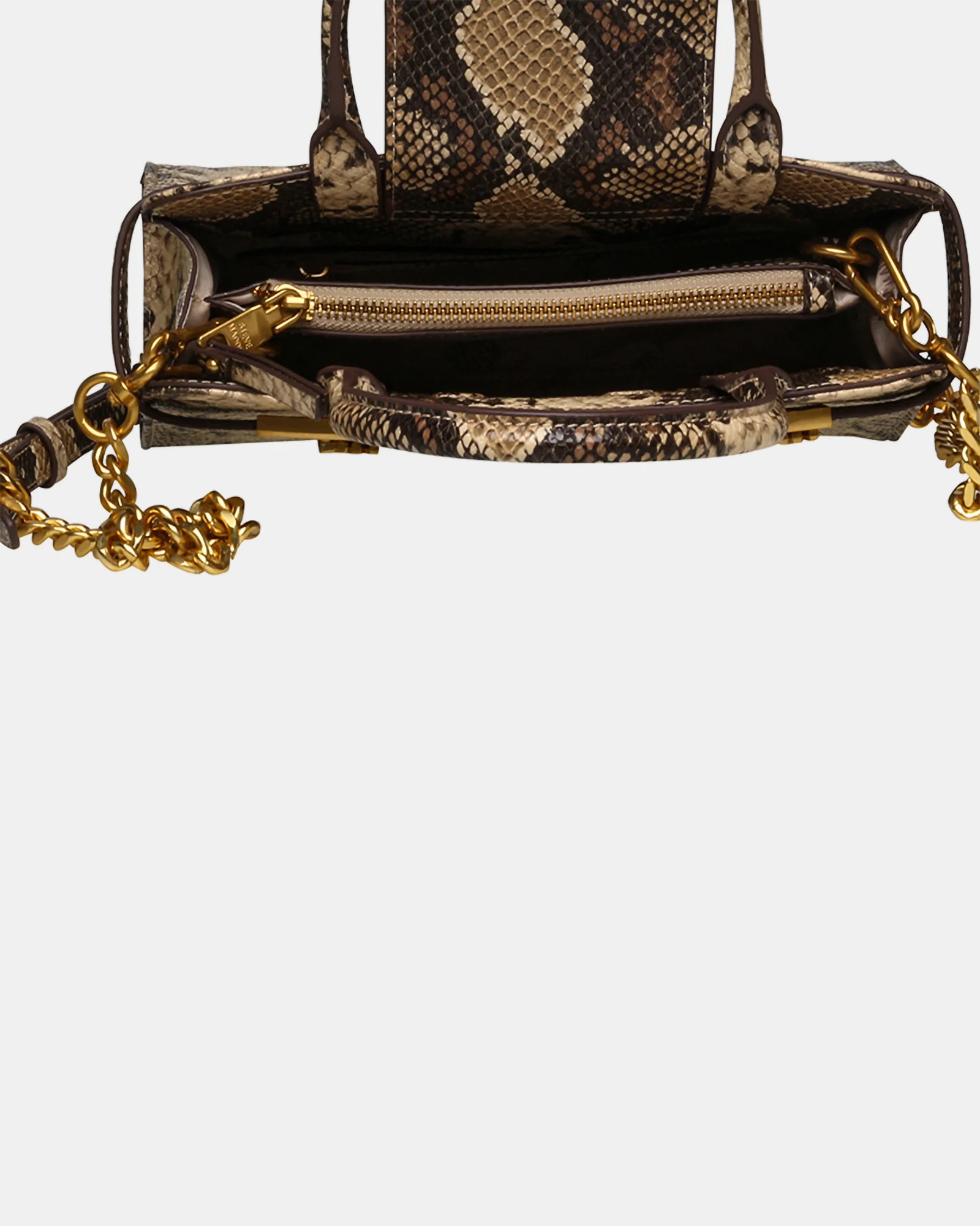 BLINDENY SNAKE - Image 5