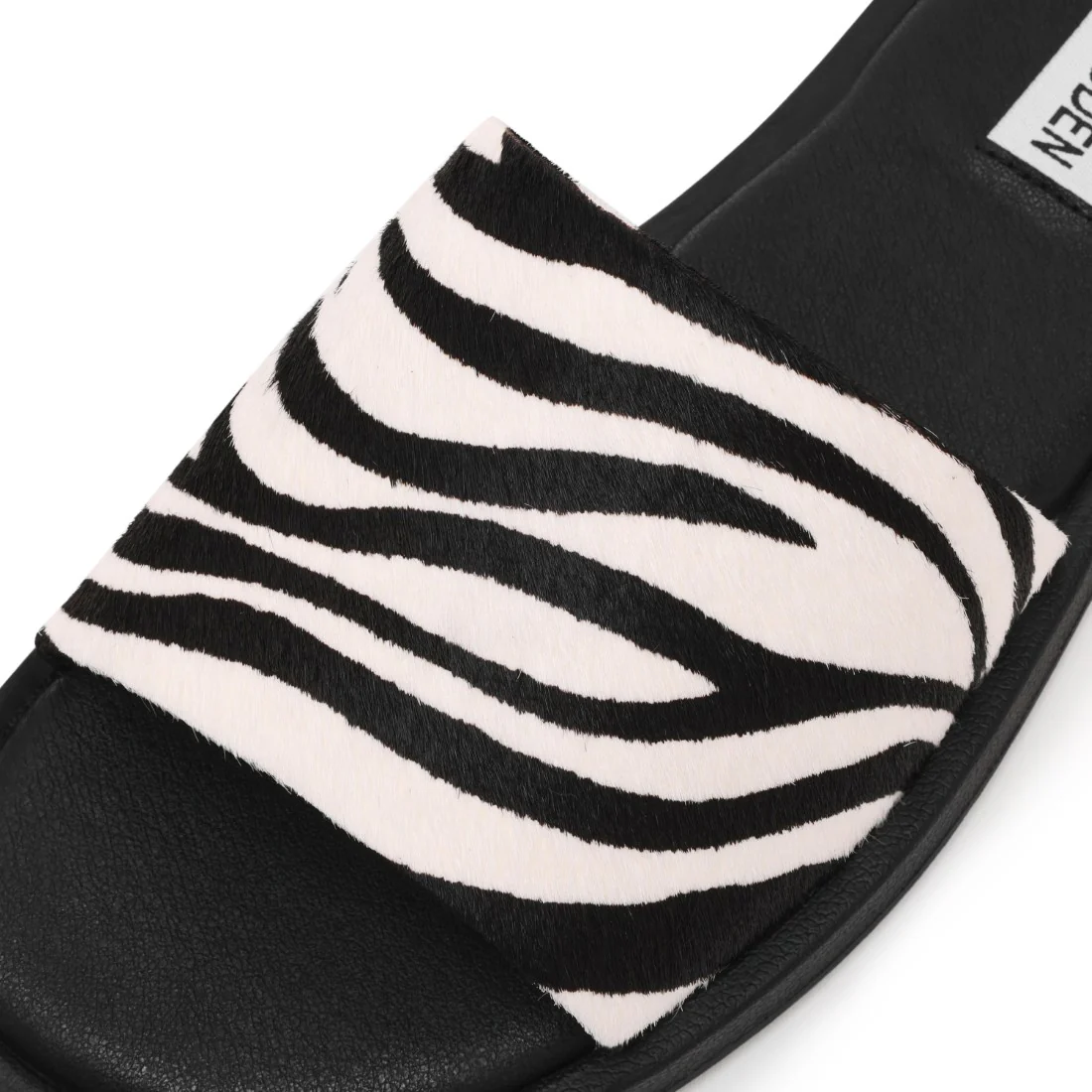 KAYA ZEBRA - Image 10