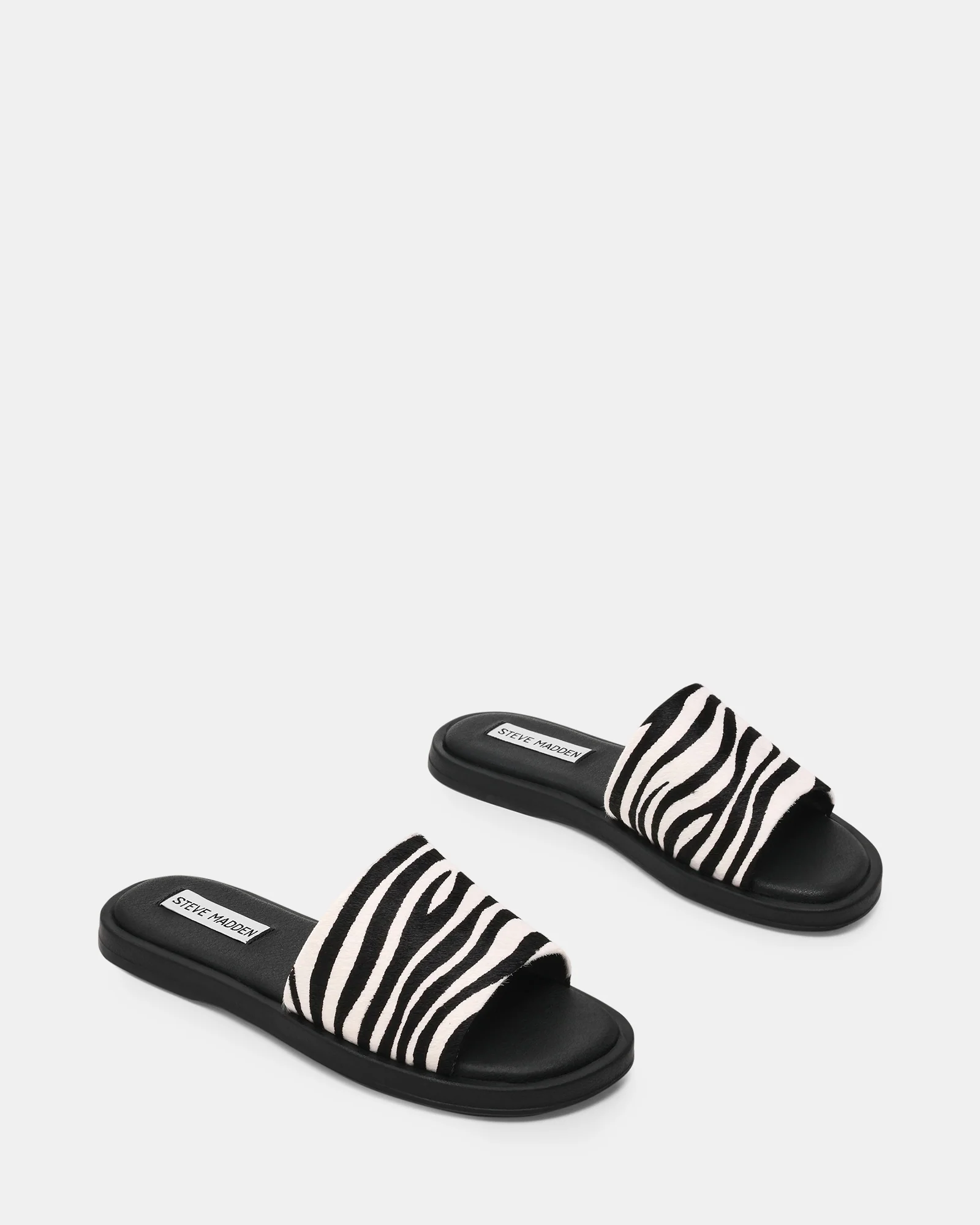 KAYA ZEBRA - Image 2