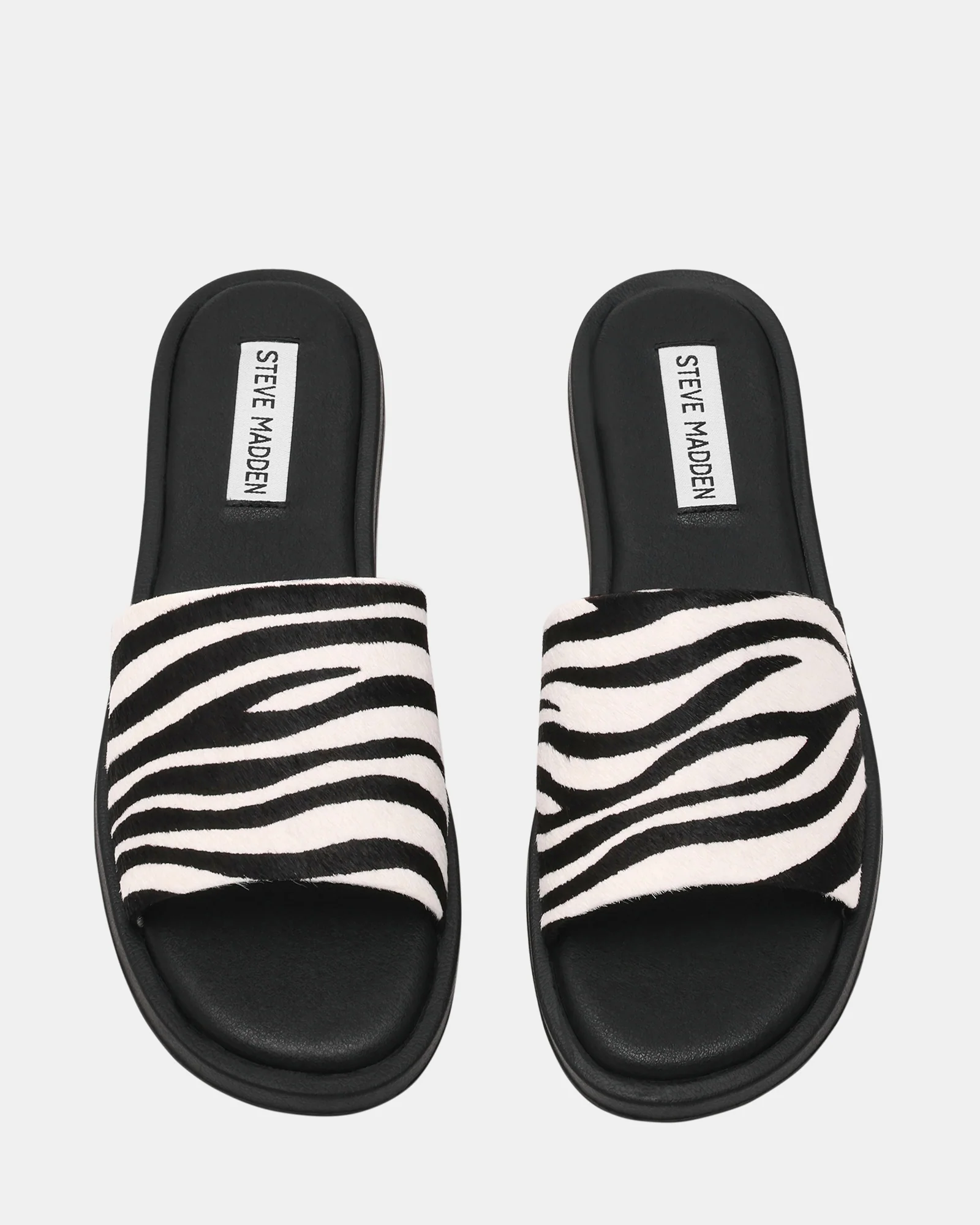 KAYA ZEBRA - Image 3