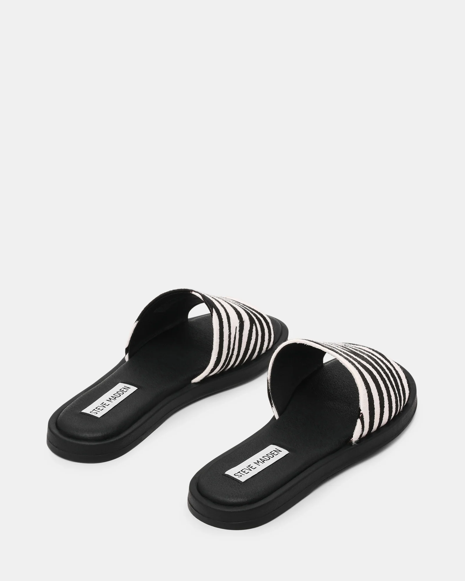 KAYA ZEBRA - Image 4