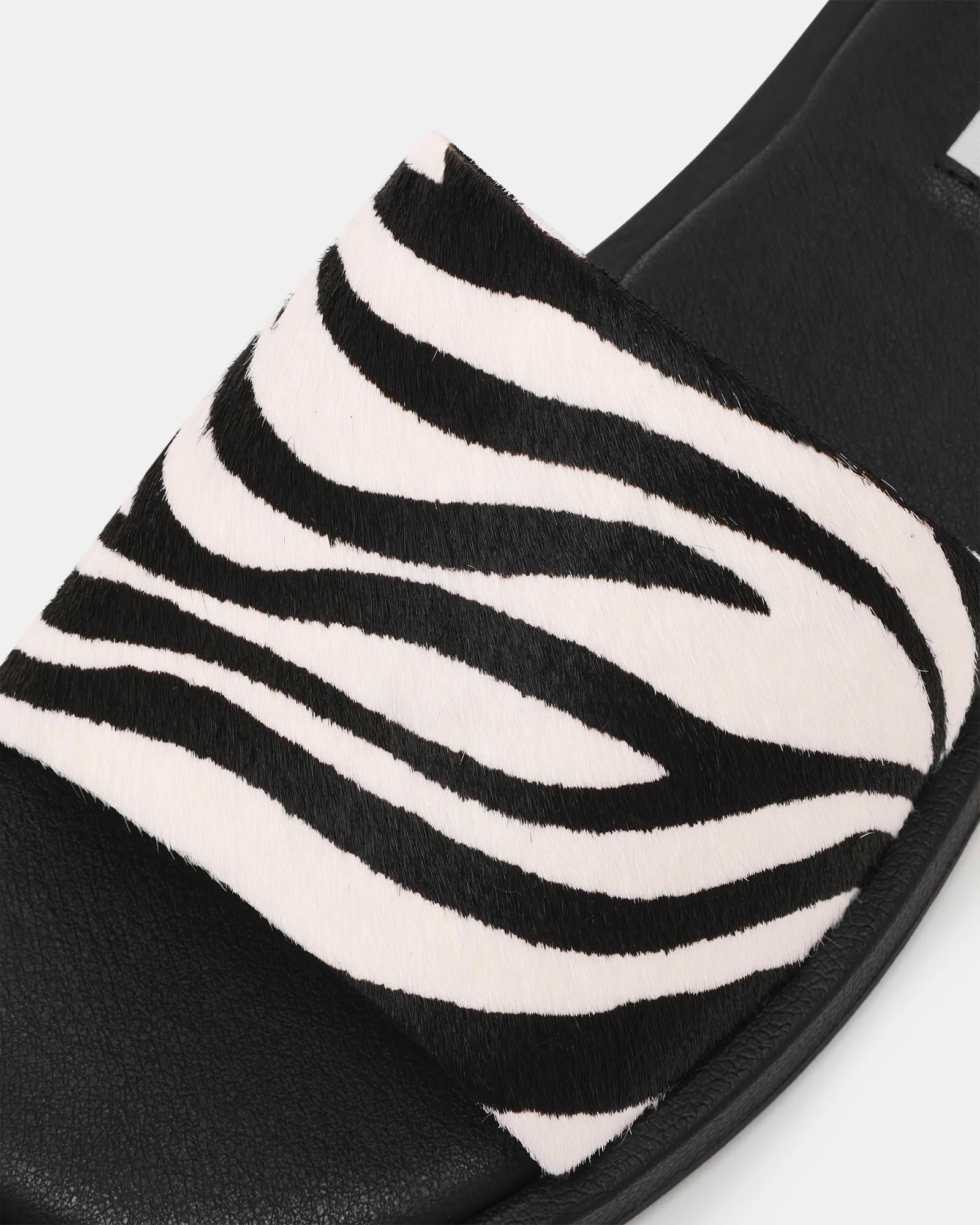 KAYA ZEBRA - Image 5
