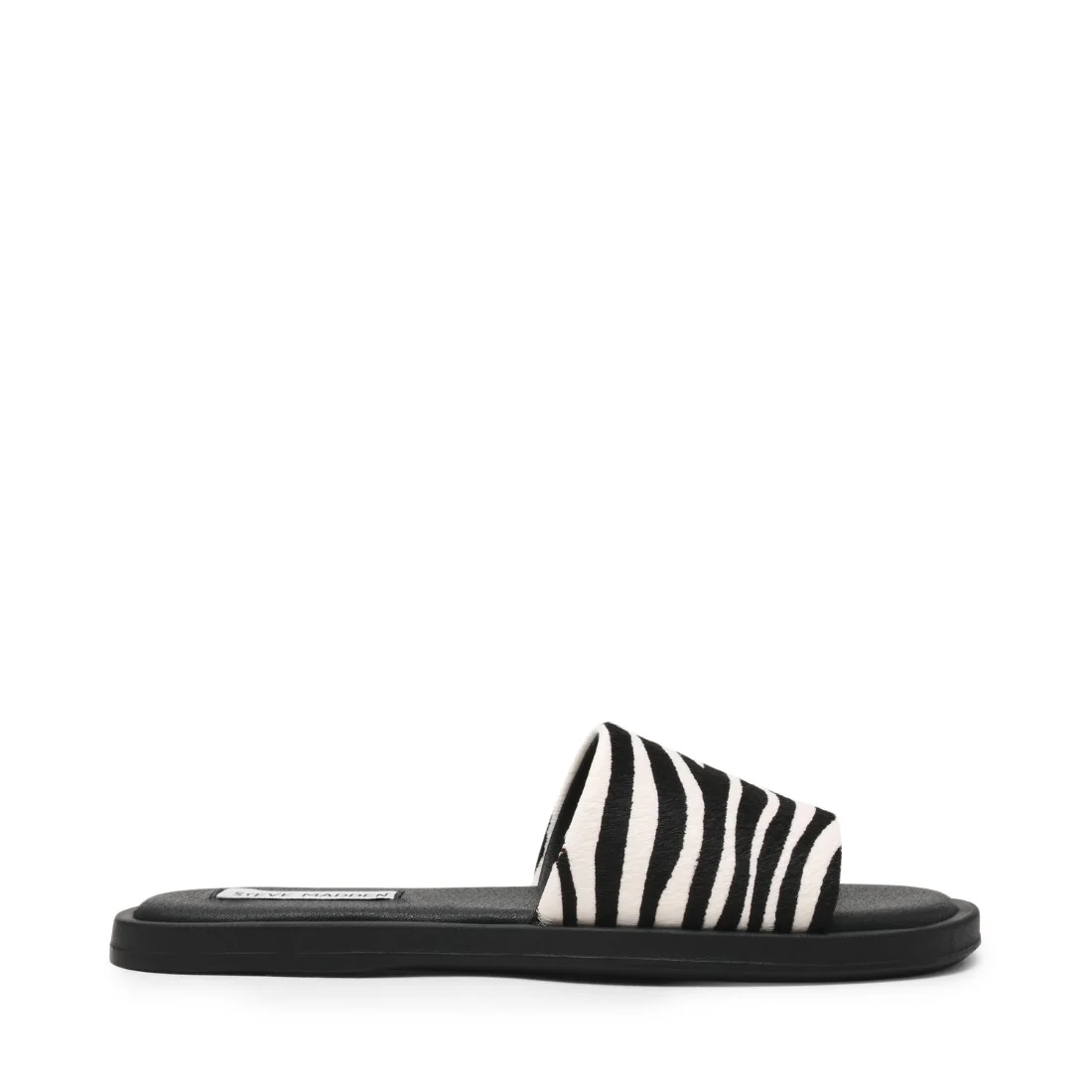 KAYA ZEBRA - Image 6