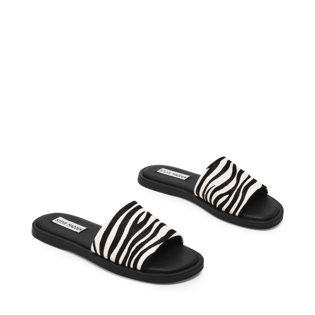 KAYA ZEBRA - Image 7