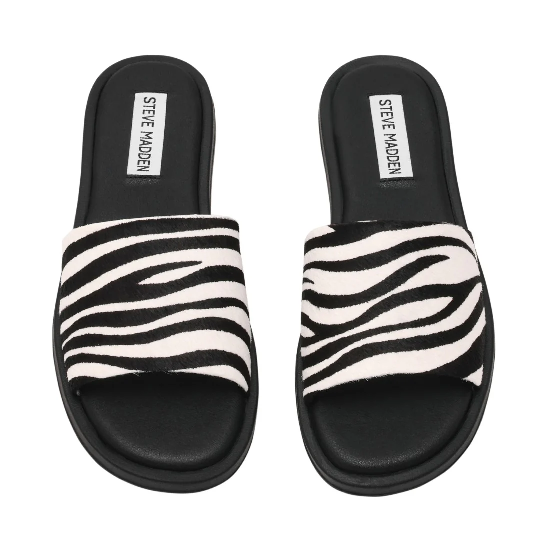 KAYA ZEBRA - Image 8